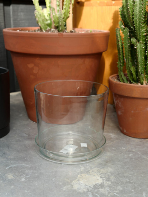 8" Recycled Clear Glass Pot w/Saucer
