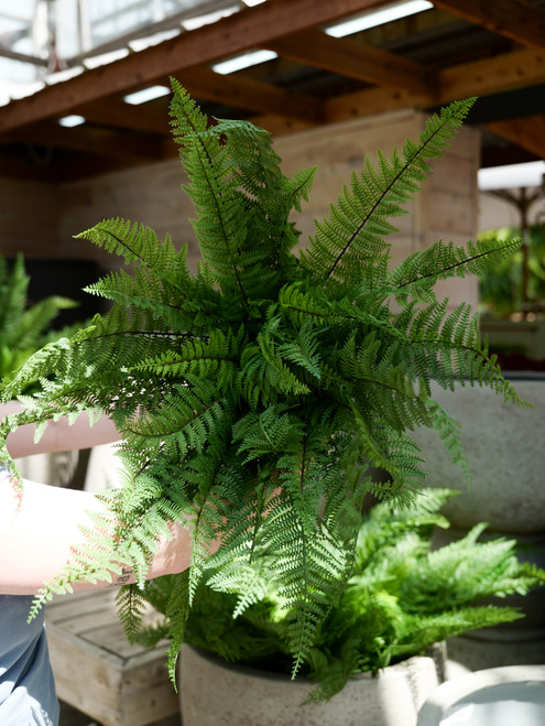46" Leather Fern Bush (Faux)