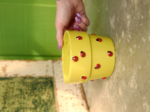 5" Garden Ladybug Pot