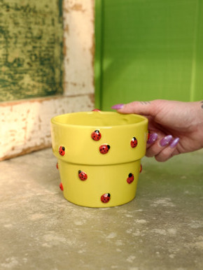 5" Garden Ladybug Pot
