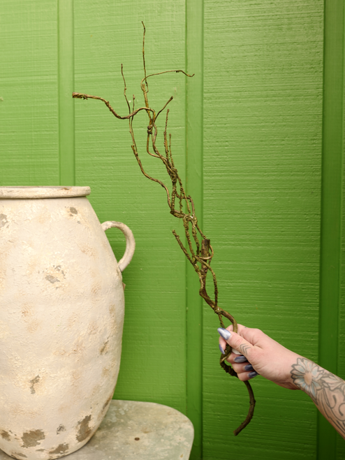 26" Twig Branch in Green