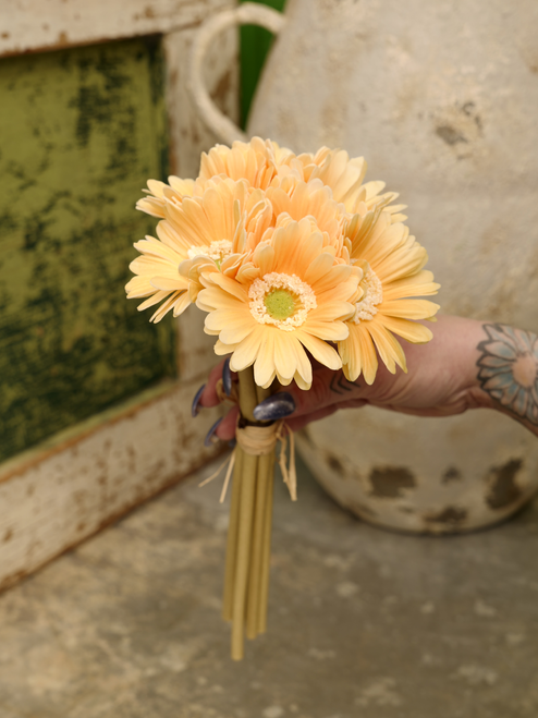 13" Gerbera Daisy Bundle in Yellow (Faux)