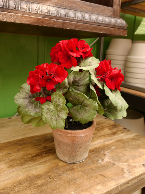 14" Red Geranium in a Pot (Faux)