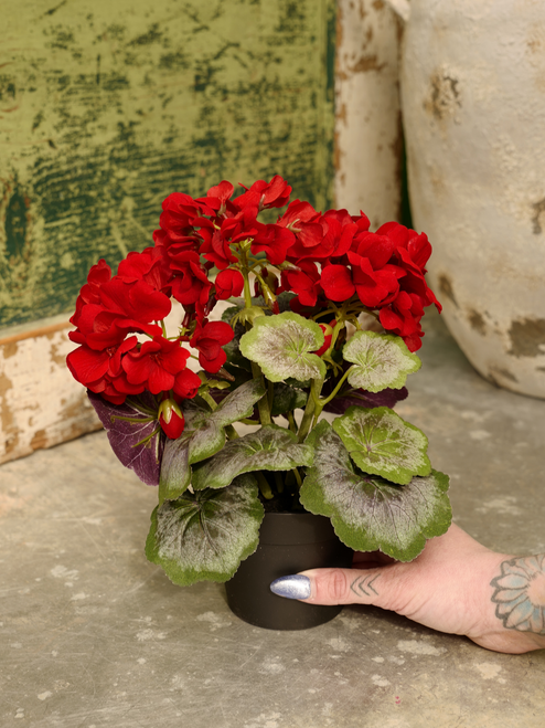 9.5" Potted Geranium in Red (Faux)