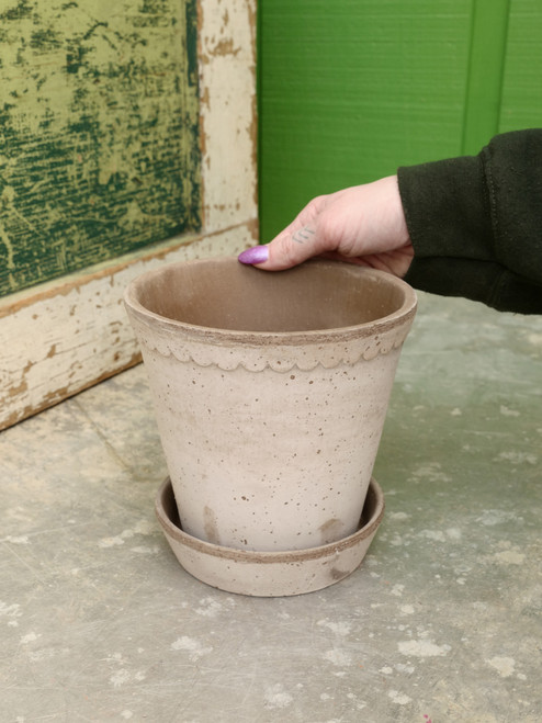 6.3" Bergs Helena Pot w/Saucer in Grey
