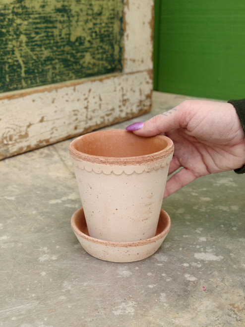 3.9" Bergs Helena Pot w/Saucer in Rosa