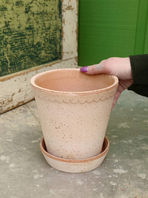 6.3" Bergs Helena Pot w/Saucer in Rosa