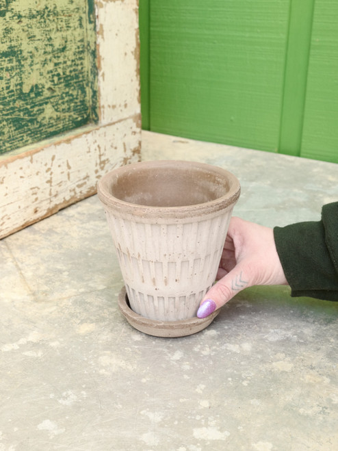 4.7" Bergs Pantheon Pot w/Saucer in Grey