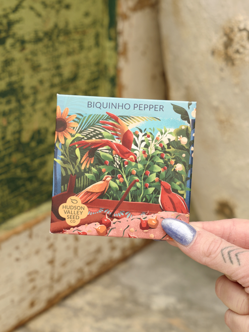 Hudson Valley Biquinho Pepper Seeds