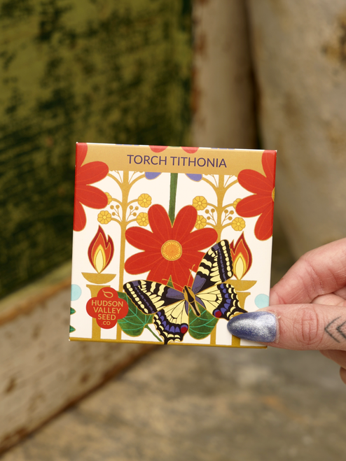 Hudson Valley Organic Torch Tithonia Seeds