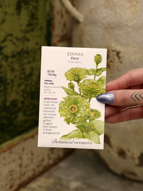 Envy Zinnia