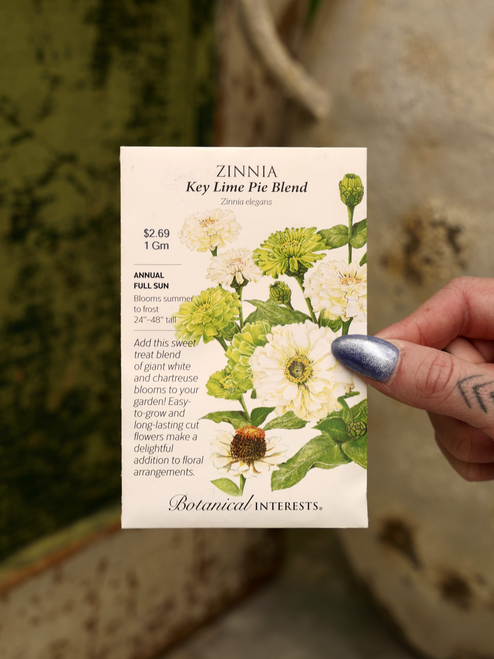 Key Lime Pie Blend Zinnia
