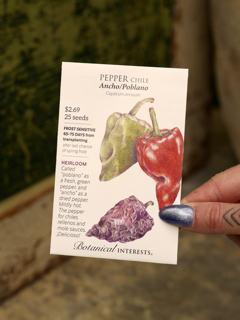 Ancho/Poblano Chile Pepper