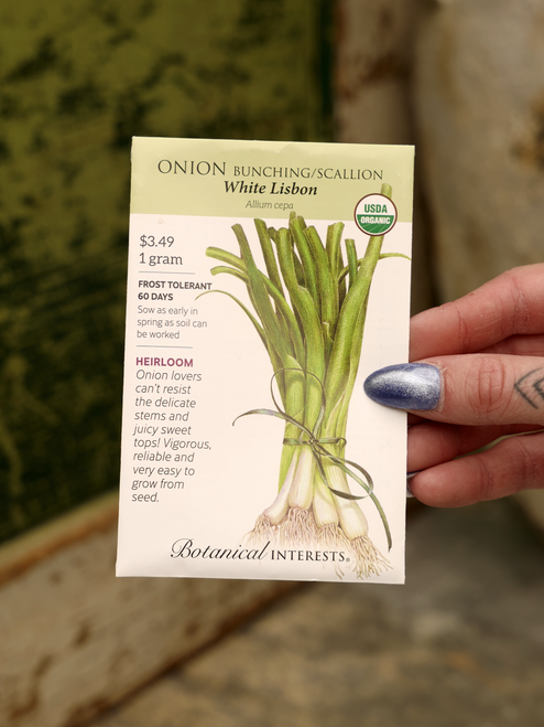 Organic White Lisbon Bunching Onion