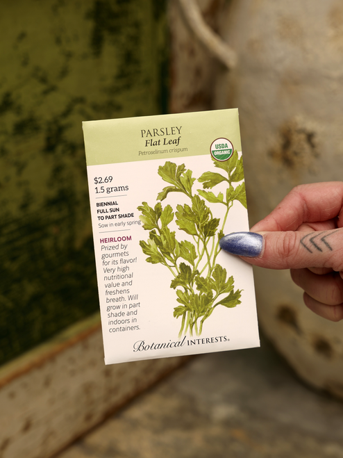 Flat Leaf Parsley