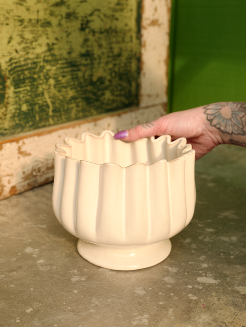 5.5" Tulipa Compote in Cream