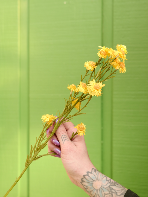 24" Yellow Aster Stem (Faux)