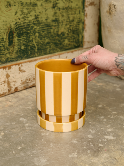 5" Saffron Pot w/Saucer