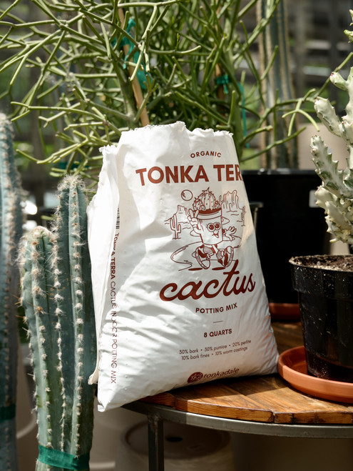 8 Quart Tonka Terra Cactus Mix