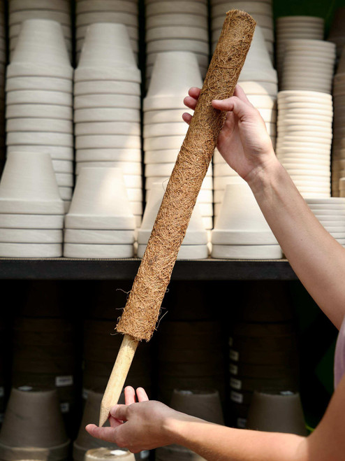 24" Coco Coir Pole