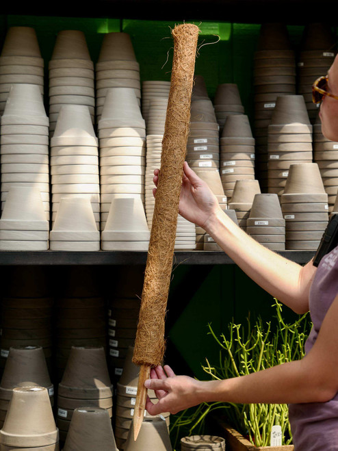 36" Coco Coir Pole