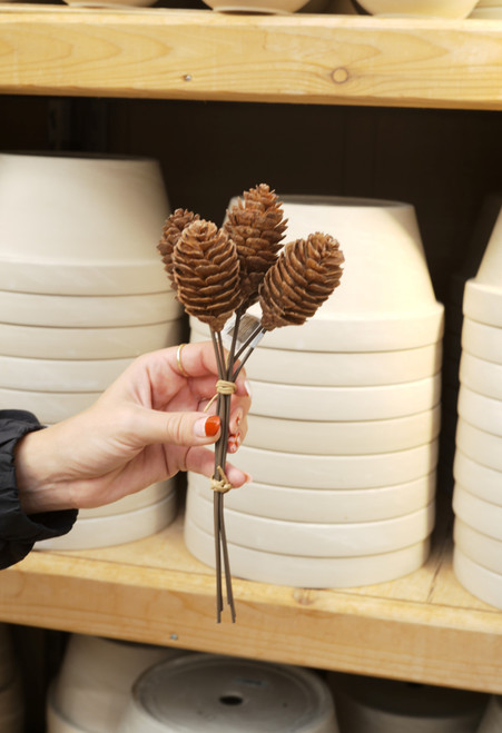 10" Pine Cone Bundle (Faux)