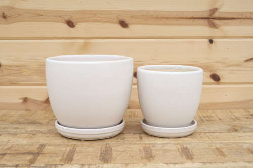 Egg Pot w/Attached Saucer in White