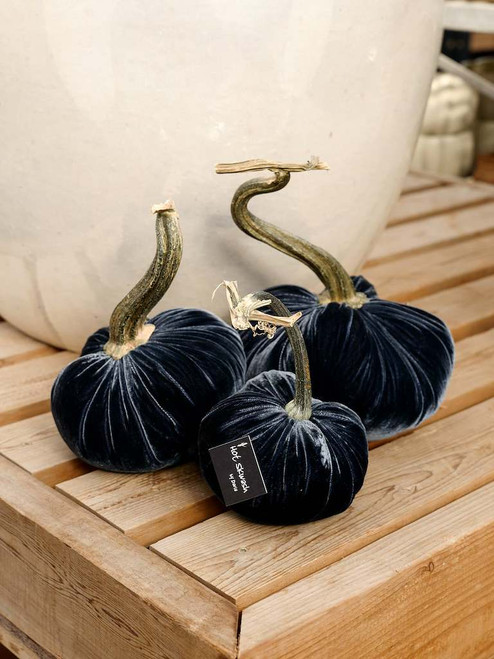 Velvet Pumpkin in Sapphire