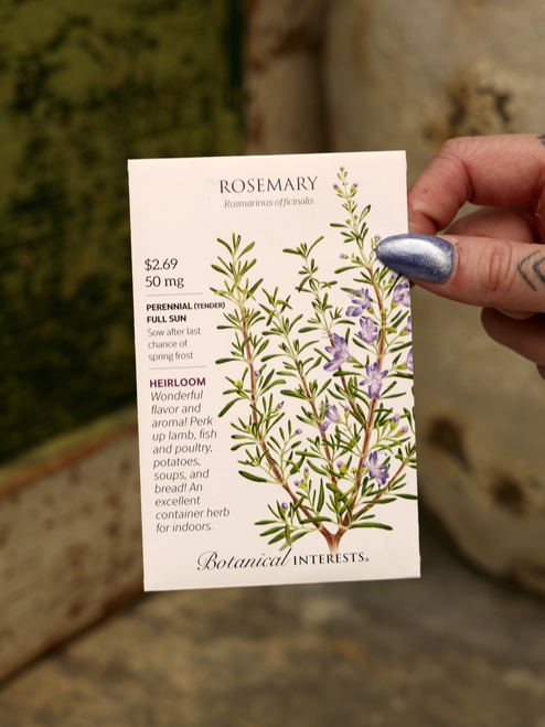 Rosemary Seeds