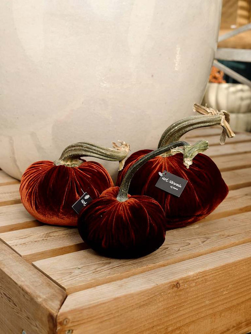 Velvet Pumpkin in Fire
