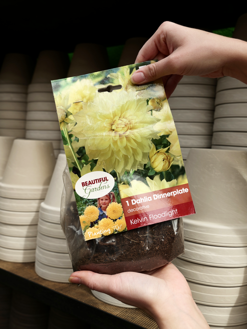 Dahlia Kelvin Floodlight Bulb