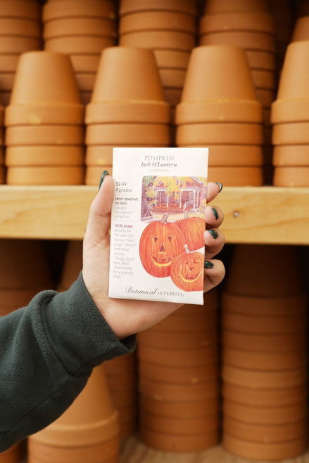 Jack O'Lantern Pumpkin Seeds