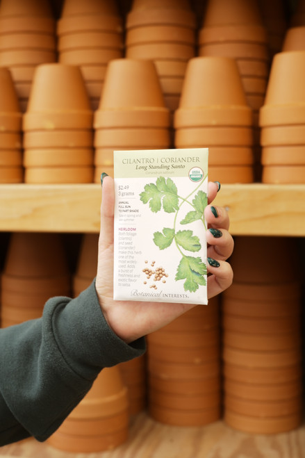 Organic Cilantro-Coriander Seeds