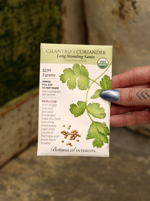 Organic Cilantro-Coriander Seeds
