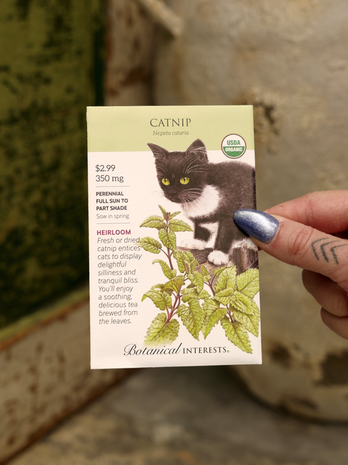 Organic Catnip Seeds