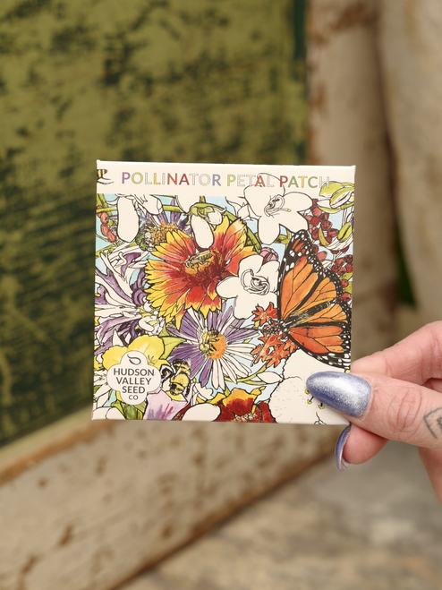 Hudson Valley Pollinator Petal Patch Seed Mix