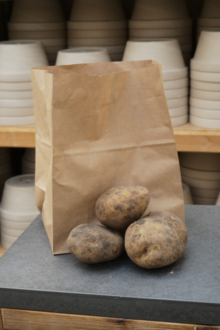 2 lbs Seed Potatoes - Yukon Gold