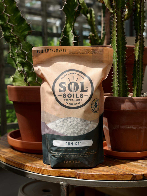 2 qt Sol Soils Pumice
