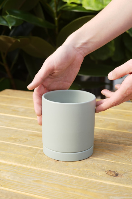 4.25" Romey Pot in Sage