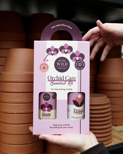 We The Wild Orchid Essentials Kit