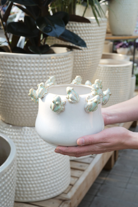 7.5" Planter with Frogs Sitting