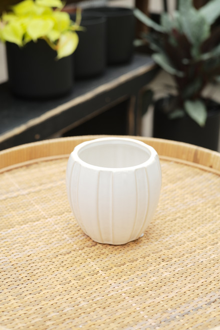 3.5" Wide Ribbed Planter in White