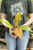 4" Philodendron Prince of Orange
