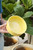 7.1" Bergs Hoff Glazed Saucer in Yellow