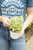 Candle Vine 4 in