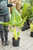 Alocasia Lutea 10"