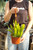 6" Epiphyllum Orchid Cactus Golden