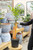 12" Citrus Calamondin Standard