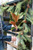 25" Magnolia Leaf Spray (Faux)