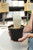 6" Peruvian Old Man Cactus